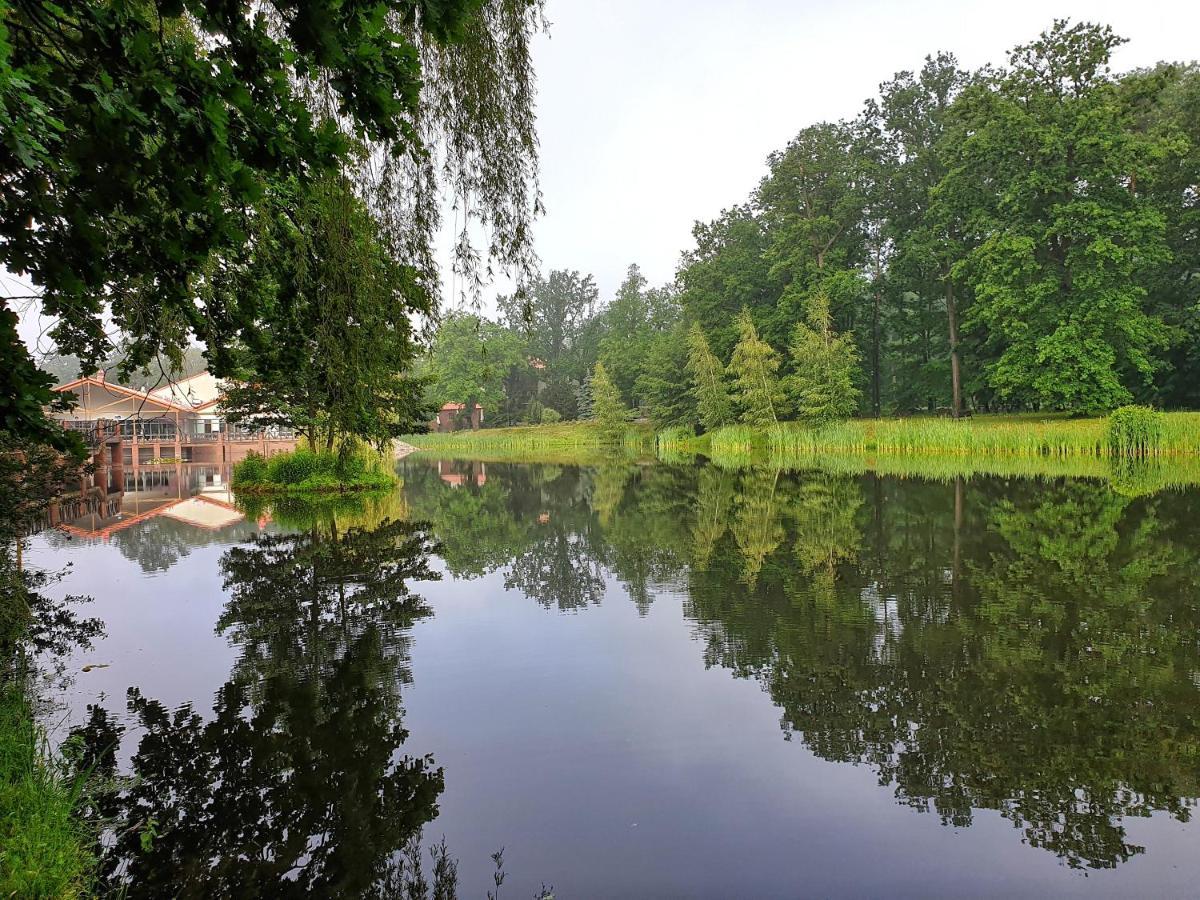 Stacja Nowa Gdynia Bed & Breakfast Aquapark زغيرش المظهر الخارجي الصورة