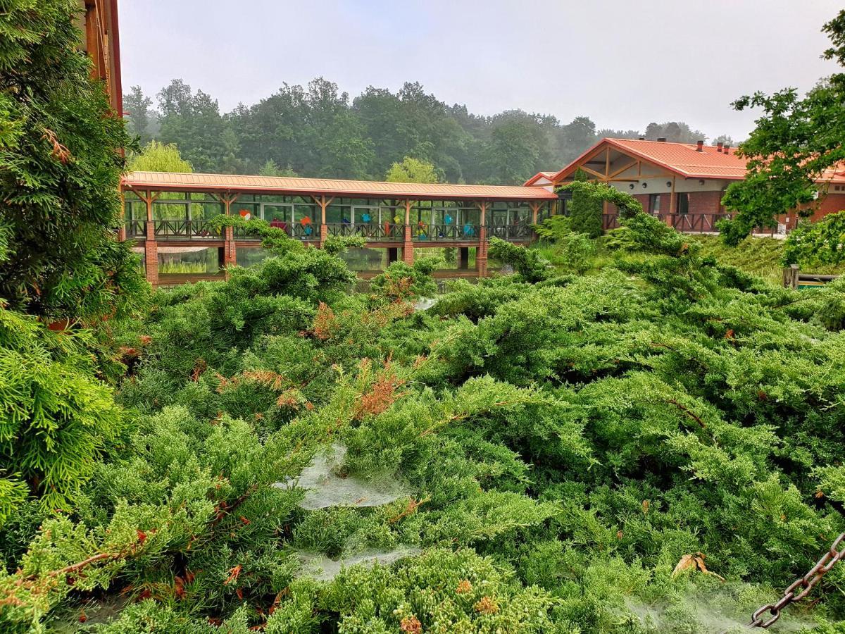 Stacja Nowa Gdynia Bed & Breakfast Aquapark زغيرش المظهر الخارجي الصورة