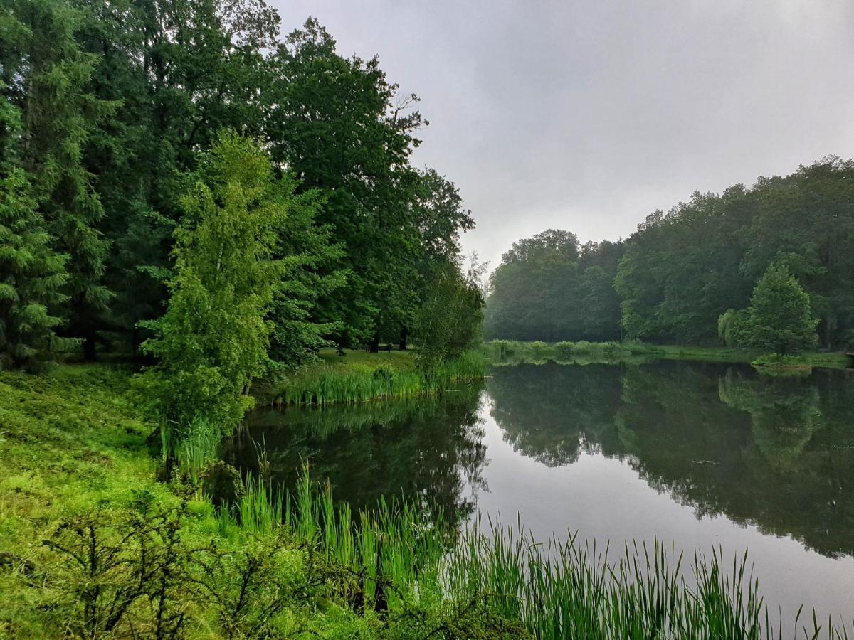 Stacja Nowa Gdynia Bed & Breakfast Aquapark زغيرش المظهر الخارجي الصورة