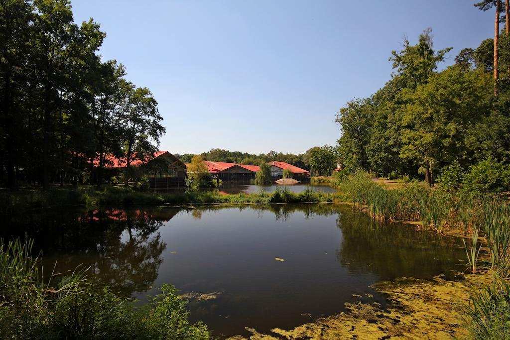Stacja Nowa Gdynia Bed & Breakfast Aquapark زغيرش المظهر الخارجي الصورة
